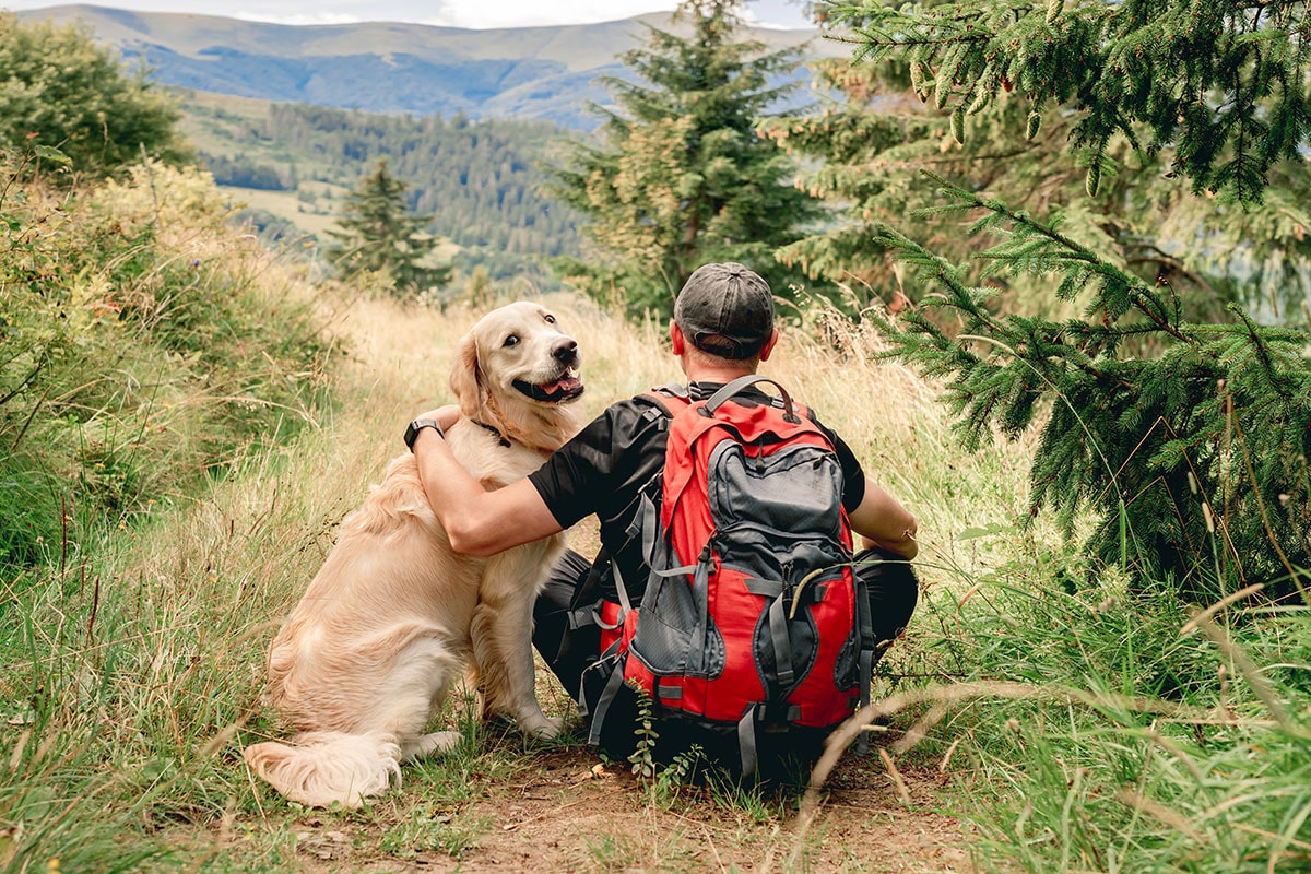 Où randonner avec son chien dans les Alpes Maritimes (06) - Animo Santé