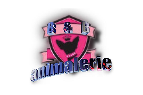 Logo Bull et Bill - Animo Santé