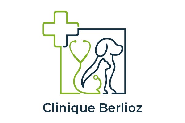 Logo Clinique Berlioz - Animo Santé