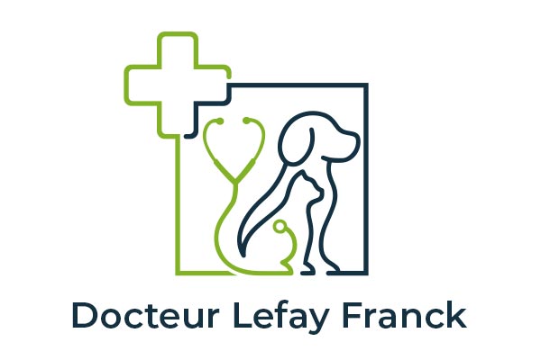 Logo Docteur Lefay Franck - Animo Santé