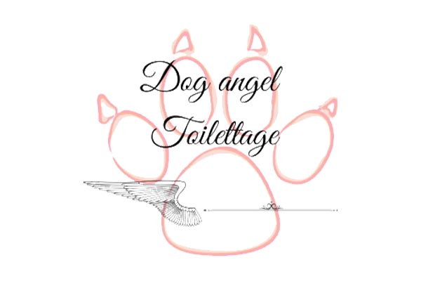 Logo Dog Angel Toilettage - Animo Santé
