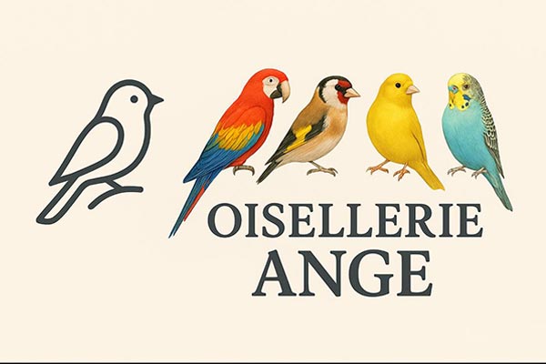 Logo L'Oisellerie Ange - Animo Santé
