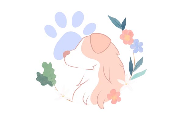Logo La Patte Tendre - Animo Santé