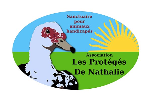 Logo Les Proteges De Nathalie - Animo Santé