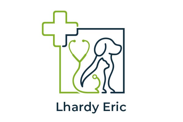 Logo Lhardy Eric - Animo Santé
