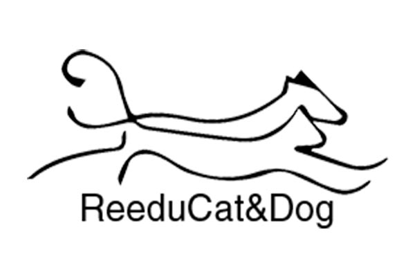 Logo ReeduCat & Dog - Animo Santé