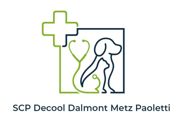 Logo SCP Decool Dalmont Metz Paoletti - Animo Santé