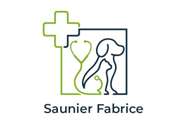 Logo Saunier Fabrice - Animo Santé