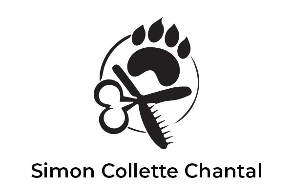 Logo Simon Collette Chantal - Animo Santé