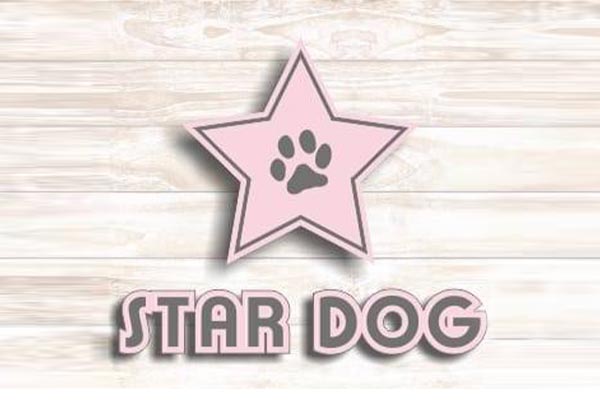 Logo Star Dog - Animo Santé
