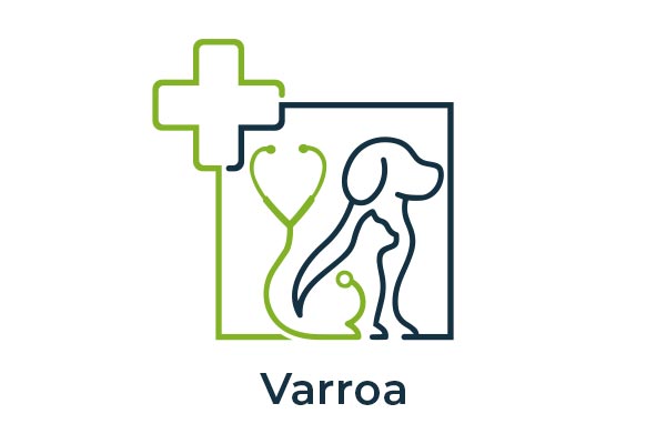 Logo Varroa - Animo Santé