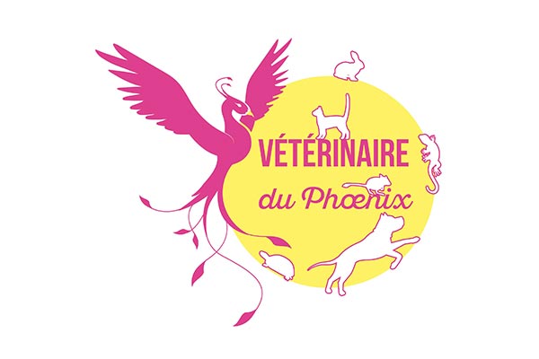 Logo Vétérinaire du Phoenix - Animo Santé
