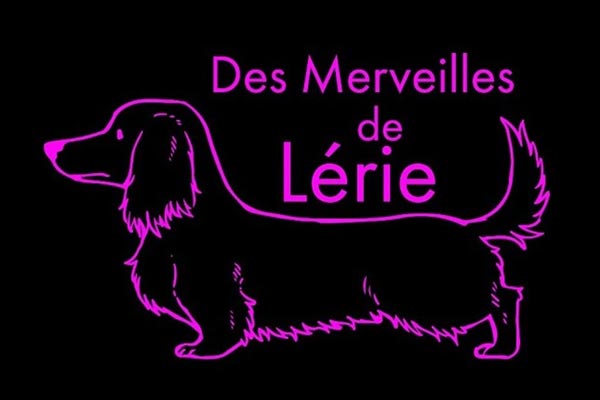 Logo Des Merveilles de Lérie - Animo Santé