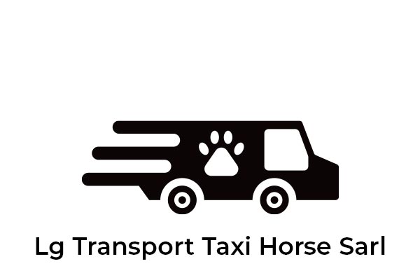 Logo Lg Transport Taxi Horse Sarl - Animo Santé
