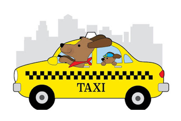 Logo Taxi Pour Animaux - Cat sitter - Animo Santé
