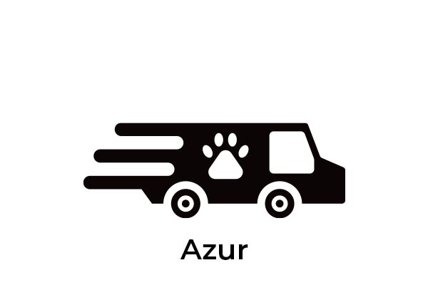 Logo Azur - Animo Santé