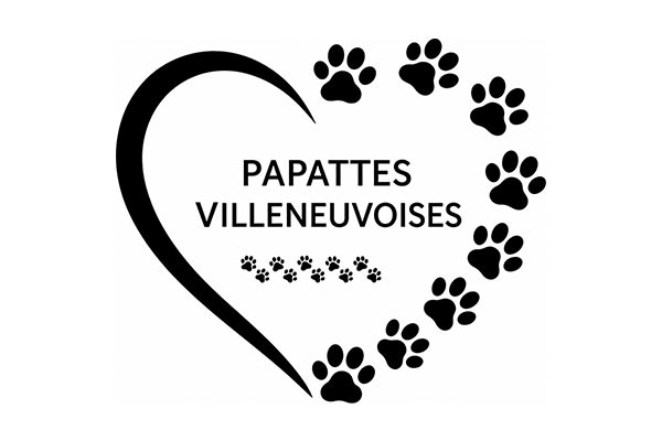 Logo Papattes Villeneuvoises - Animo Santé