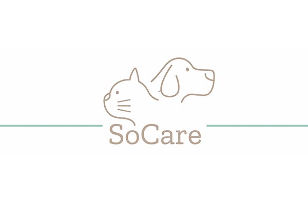 Logo SoCare - Animo Santé