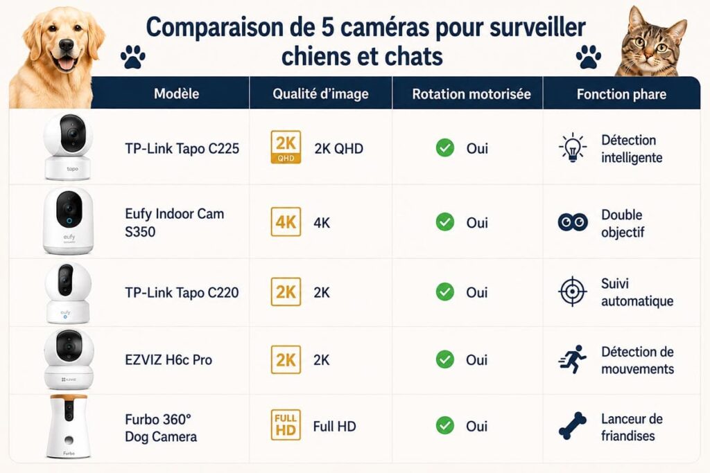 Meilleure caméra intérieure connecté pour surveiller son chien et chat - Animo Santé